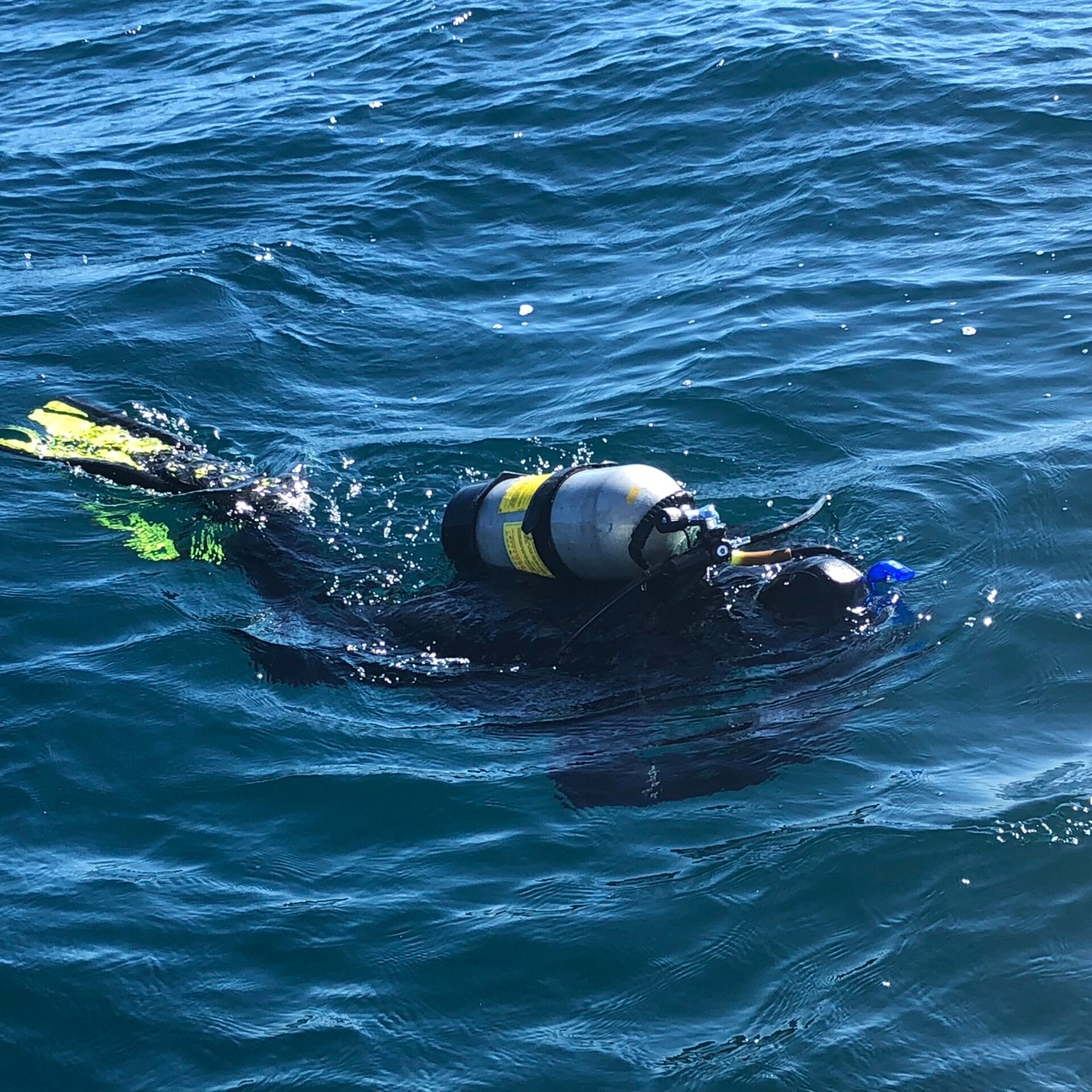 a person lying in a body of water